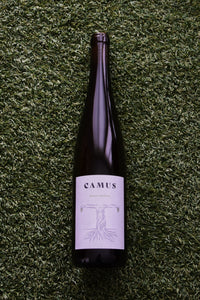 Fabian Camus 2020 Grüner Veltliner